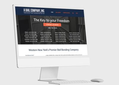 Website Design Mockup Michigan