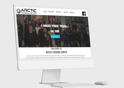 Website Designer in Michigan